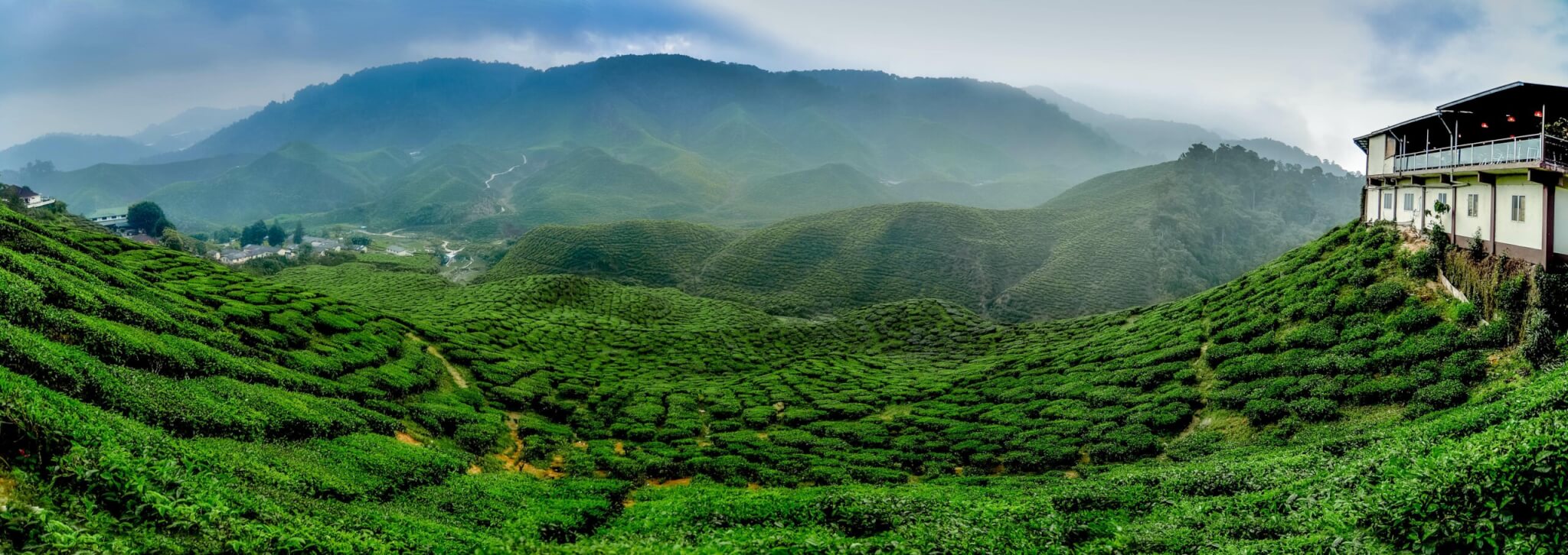 Darjeeling